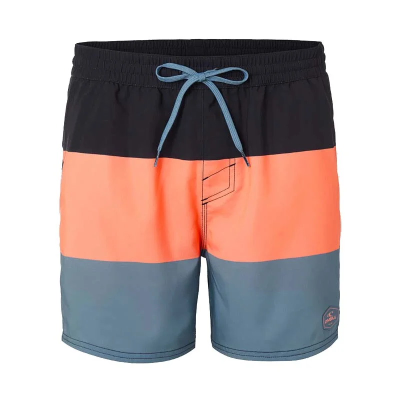 Φωτογραφία προϊόντος: O'NEILL HORIZON SWIM SHORTS ΠΟΛΥΧΡΩΜΟ
