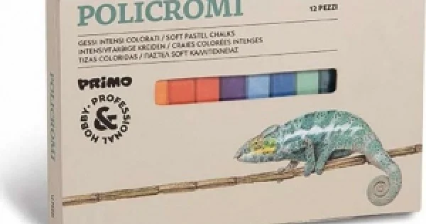 Φωτογραφία προϊόντος: ΞΗΡΟΠΑΣΤΕΛ PRIMO CMP 020GC121 (12 TEMAXΙΩΝ)