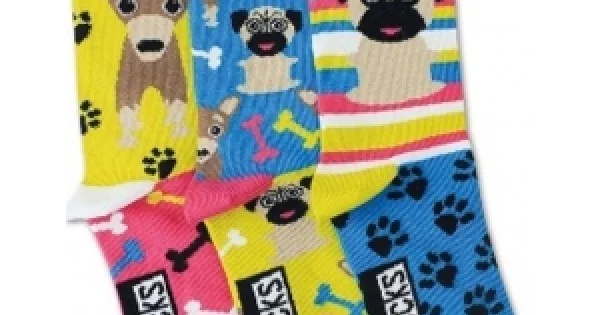 Φωτογραφία προϊόντος: ODD SOCKS ΠΑΙΔΙΚΕΣ ΚΑΛΤΣΕΣ 30,5-38,5 “PUGS” – 94.04.003