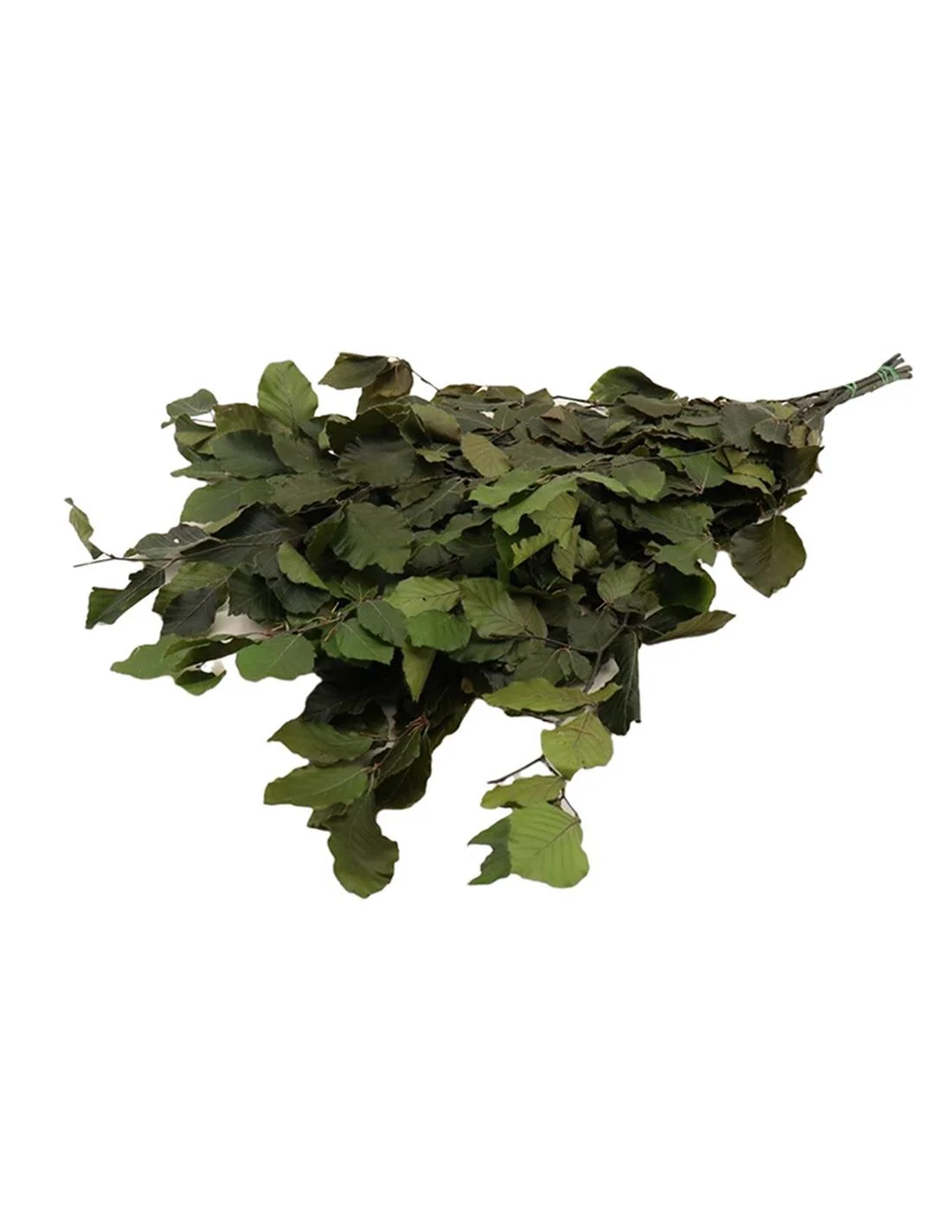 Φωτογραφία προϊόντος: Plastona Bunch Fagus Pres. 150GR GREEN