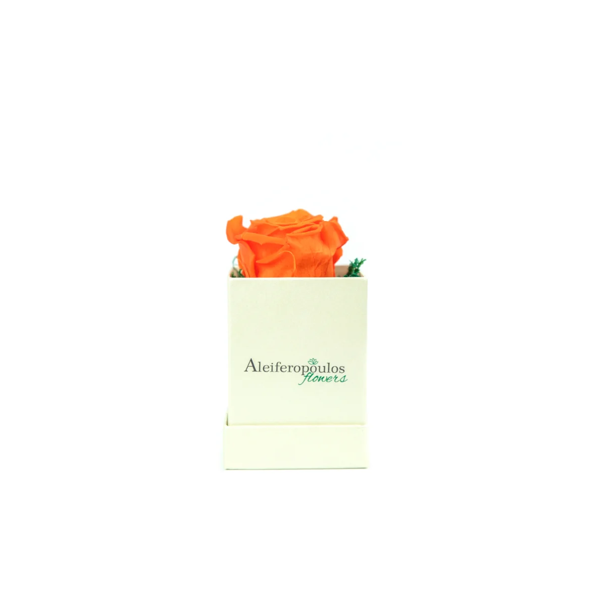 Φωτογραφία προϊόντος: Aleiferopoulos Flowers Dejuiced Forever Orange Rose In Ecru Box Forever Rose (RB116)