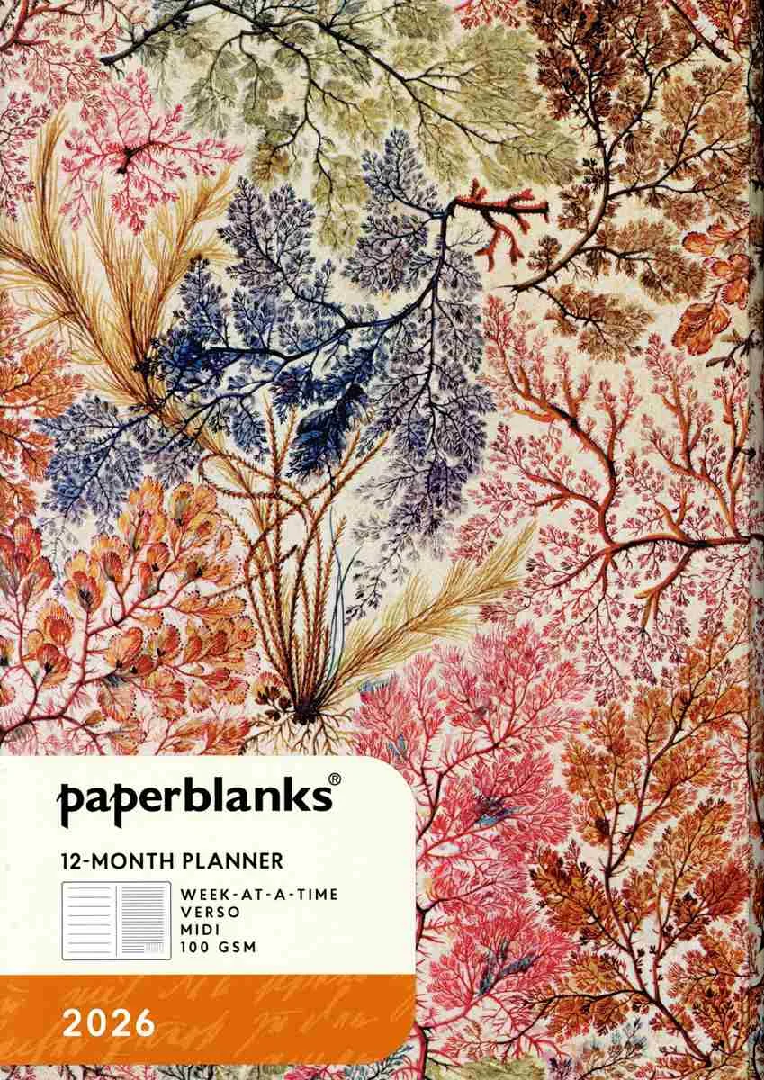 Φωτογραφία προϊόντος: 2026 MIDI WTV ANEMONE PAPERBLANKS