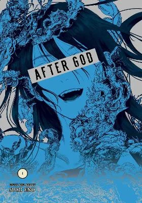Φωτογραφία προϊόντος: VIZ MEDIA AFTER GOD, VOL. 1 PA