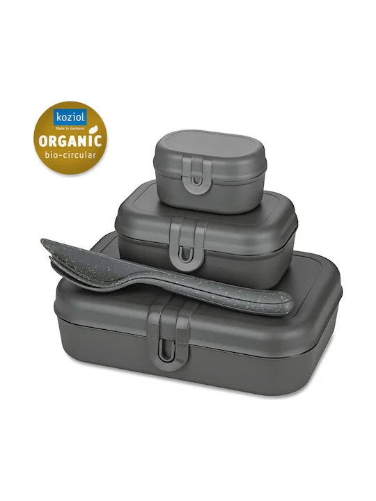 Φωτογραφία προϊόντος: KOZIOL LUNCH BOX SET + CUTLERY SET PASCAL READY NATURE ASH GREY (ΣΕΤ ΦΑΓΗΤΟΥ)