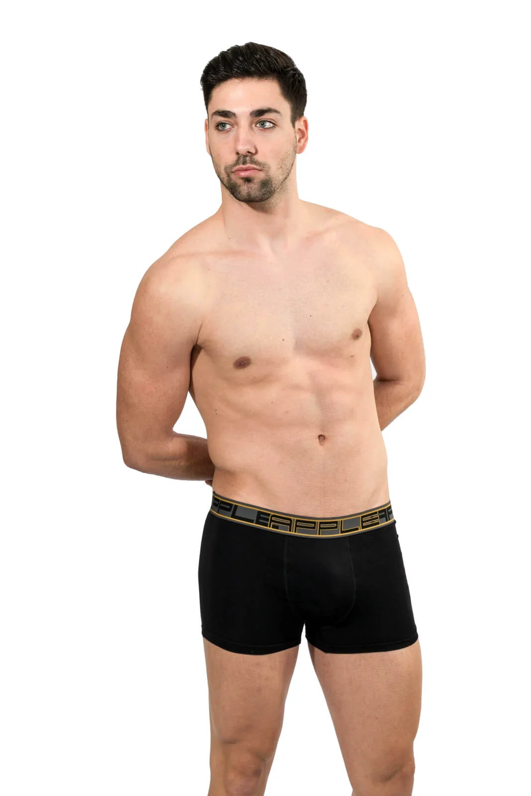 Φωτογραφία προϊόντος: ΑΝΔΡΙΚΟ BOXER APPLE (0110951) - ΜΑΥΡΟ/ΧΡΥΣΟ 90% ΒΑΜΒΑΚΙ