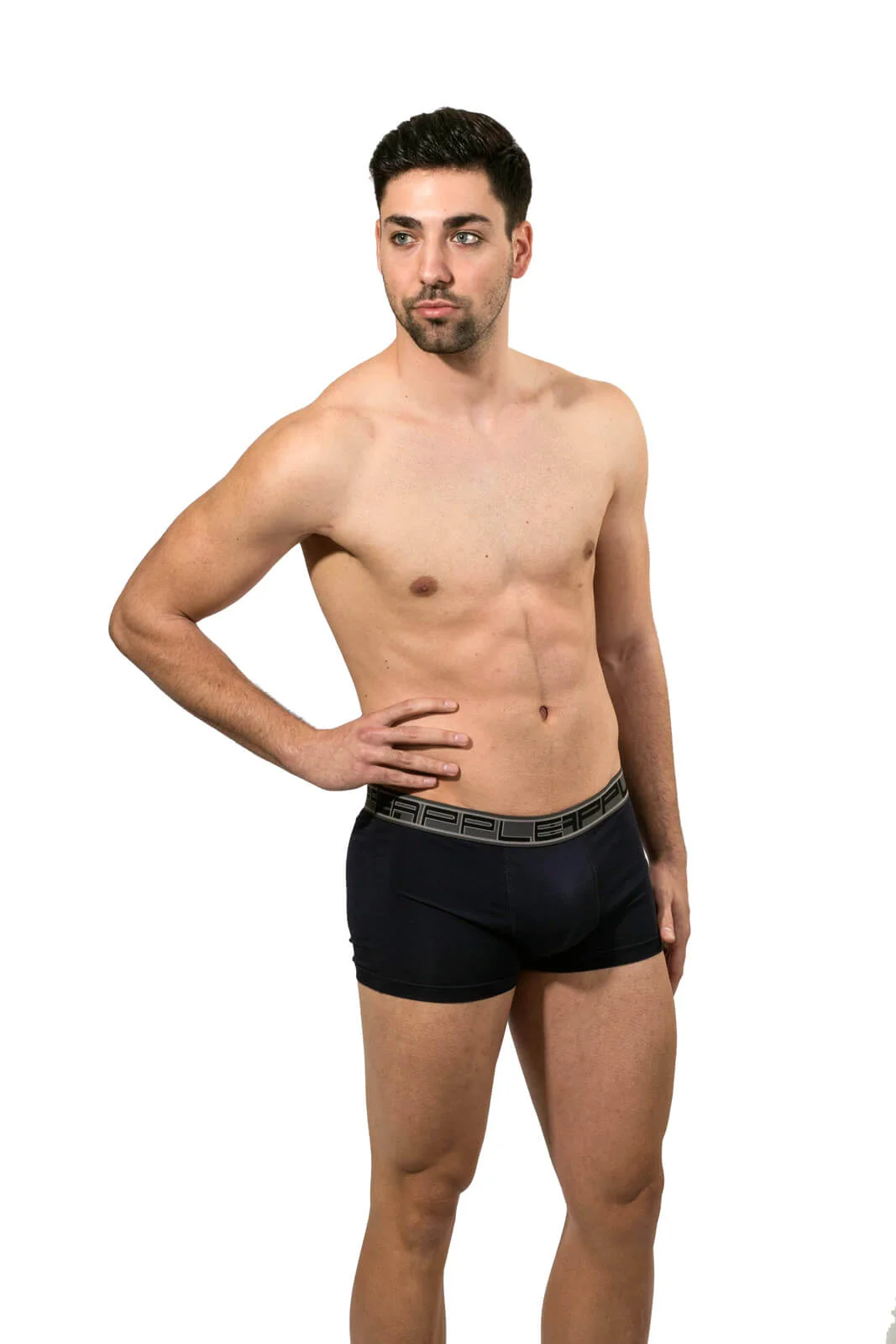 Φωτογραφία προϊόντος: ΑΝΔΡΙΚΟ BOXER APPLE (0110951) - ΜΑΡΙΝ/ΓΚΡΙ 90% ΒΑΜΒΑΚΙ