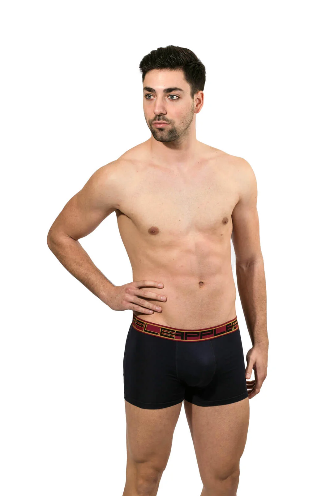 Φωτογραφία προϊόντος: ΑΝΔΡΙΚΟ BOXER APPLE (0110951) - ΜΑΡΙΝ/ΜΠΟΡΝΤΩ 90% ΒΑΜΒΑΚΙ
