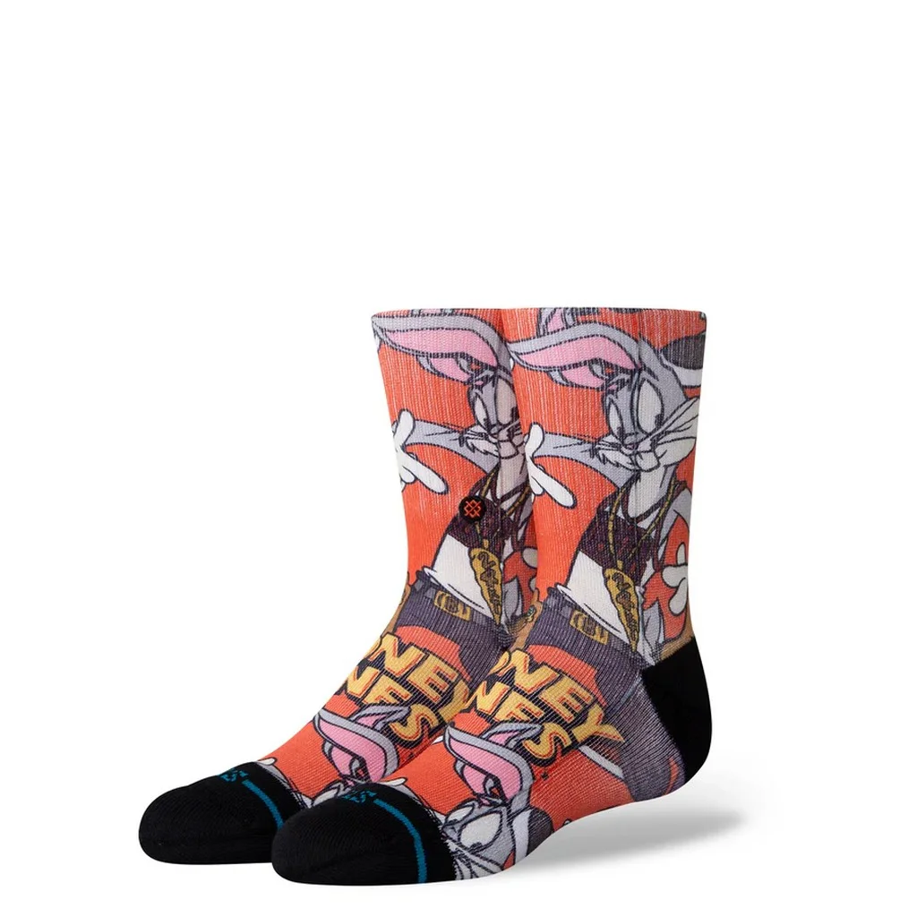 Φωτογραφία προϊόντος: Stance Kids Looney Socks (multi)