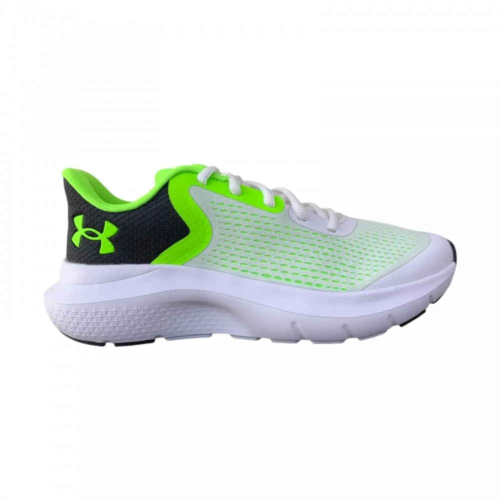 Φωτογραφία προϊόντος: Under Armour Πεδικό Παπουτσι Running Rogue 5 3028269 100