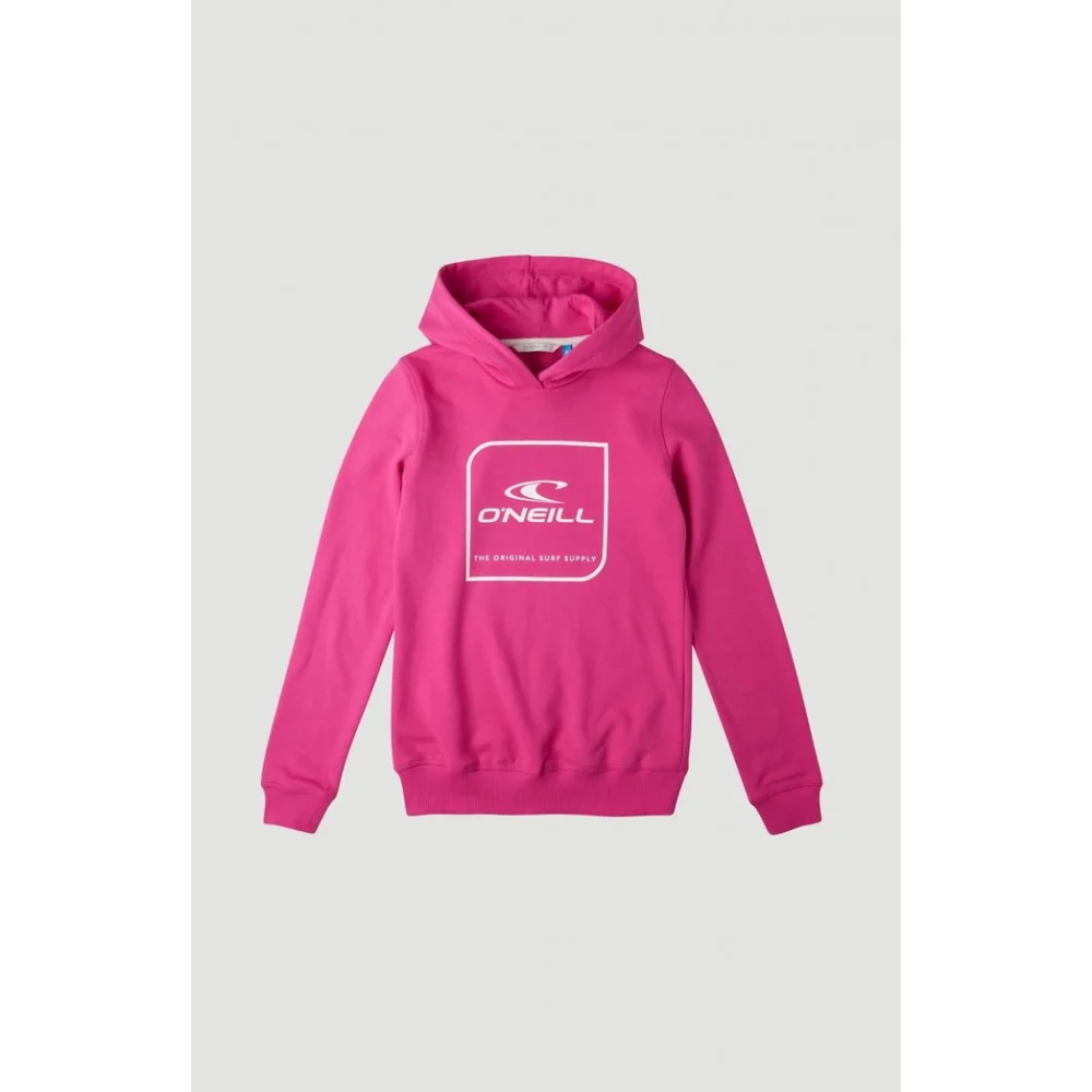 Φωτογραφία προϊόντος: O'NEILL O'NEIL LG Hoodie