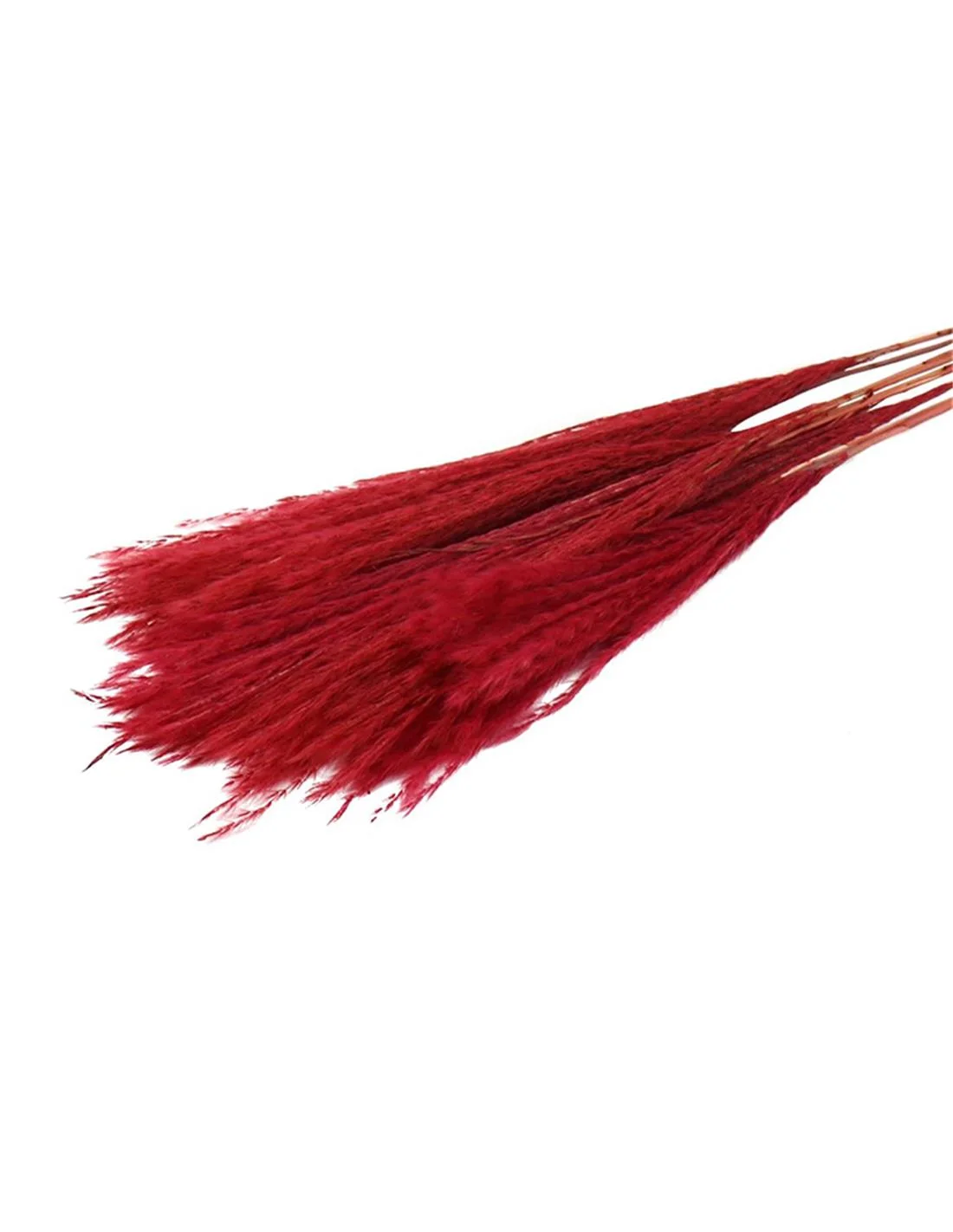 Φωτογραφία προϊόντος: Plastona PAMPAS FLUFFY 10pc RED