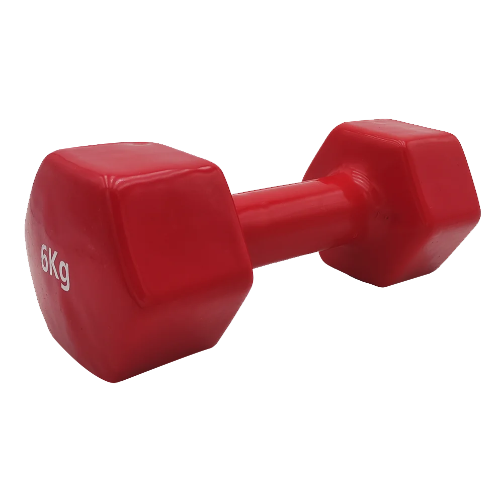 Φωτογραφία προϊόντος: LIGA SPORT VINYL DUMBBELL - 6kg (ORANGE) LIGASPORT