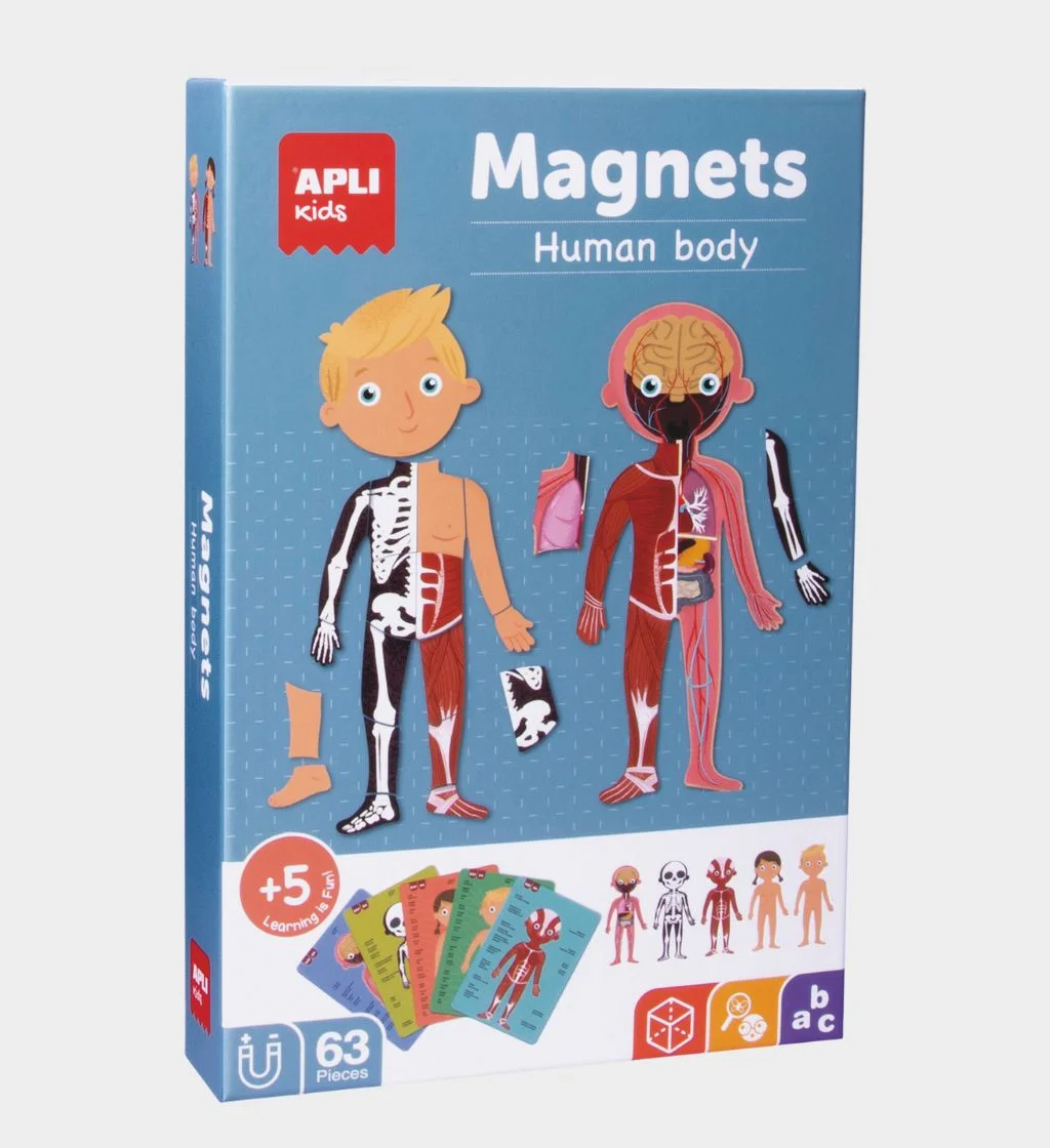 Φωτογραφία προϊόντος: Apli Kids Μαγνητικό παιχνίδι "Το Ανθρώπινο Σώμα"