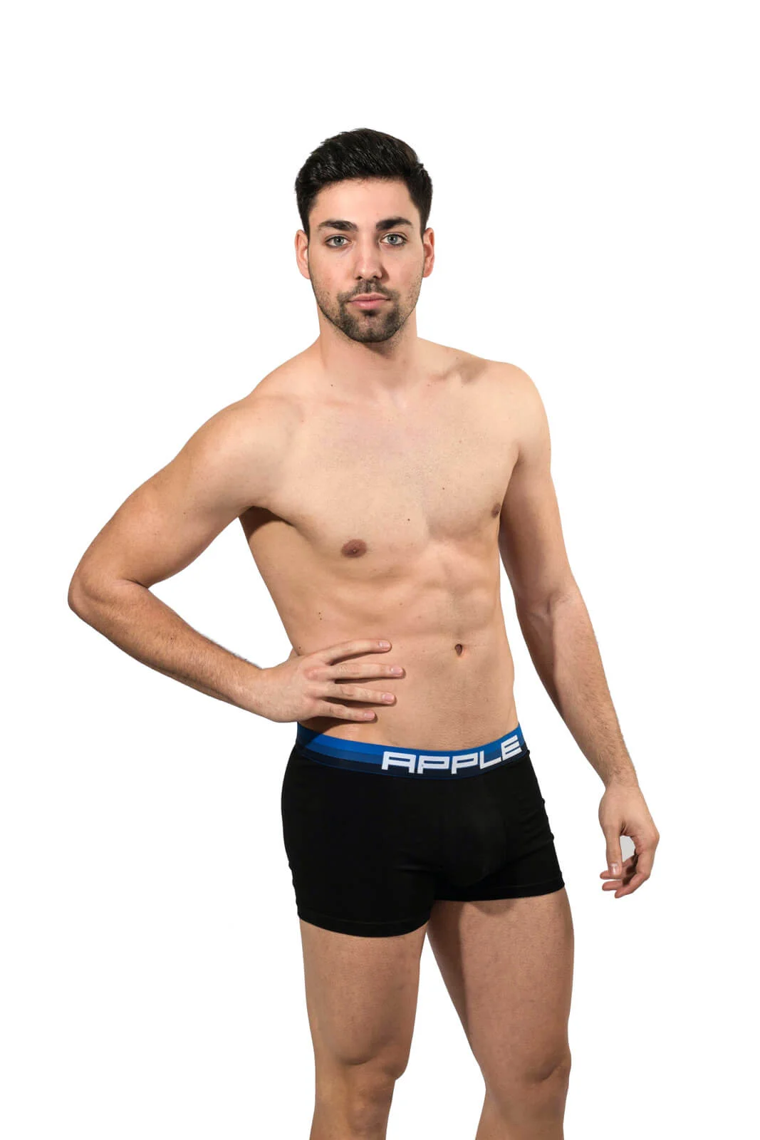 Φωτογραφία προϊόντος: ΑΝΔΡΙΚΟ BOXER APPLE (0110936) - ΜΑΥΡΟ/ΜΠΛΕ - 90% ΒΑΜΒΑΚΙ