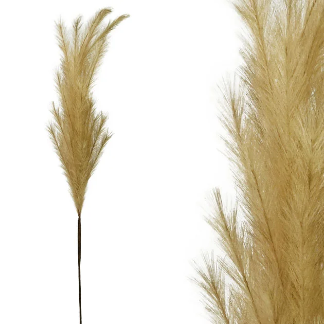 Φωτογραφία προϊόντος: marhome FOAM ΦΥΣΙΚΟ ΧΡΩΜΑ PAMPAS Y117/64cm 12/120KIB 00-00-6110-1