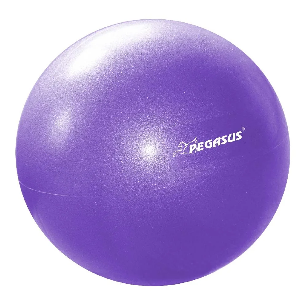Φωτογραφία προϊόντος: Μπάλα Γυμναστικής Pilates 25cm (Μωβ) Pegasus®