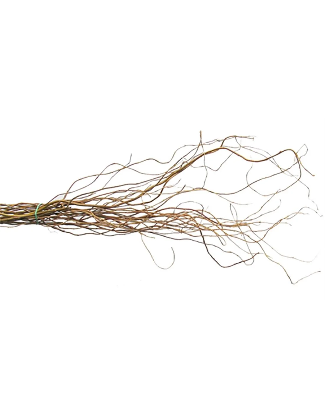 Φωτογραφία προϊόντος: Plastona Salix 200 - 240 cm