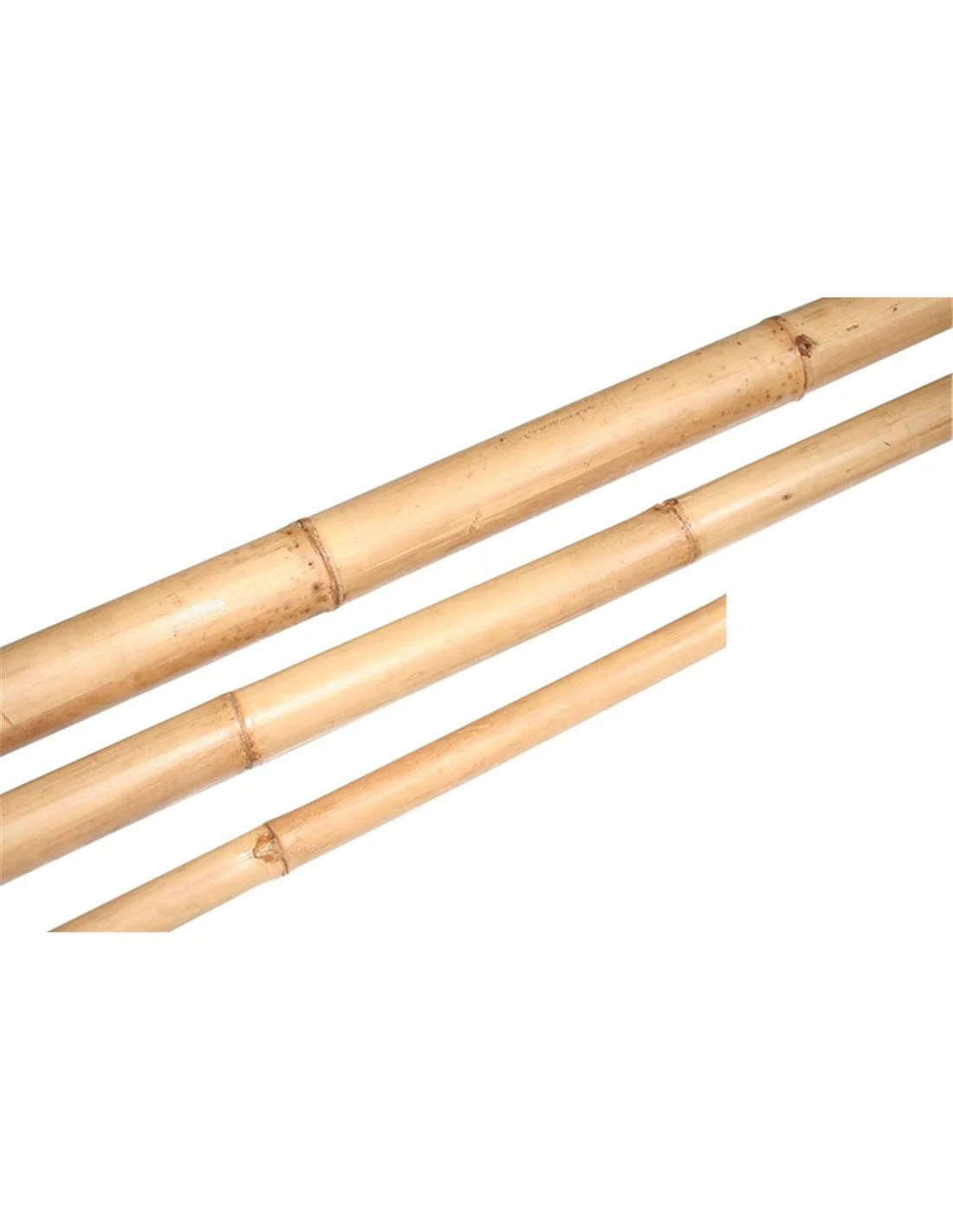 Φωτογραφία προϊόντος: Plastona Stem Bamboo Laq. D4-5 L210.0 NATURAL