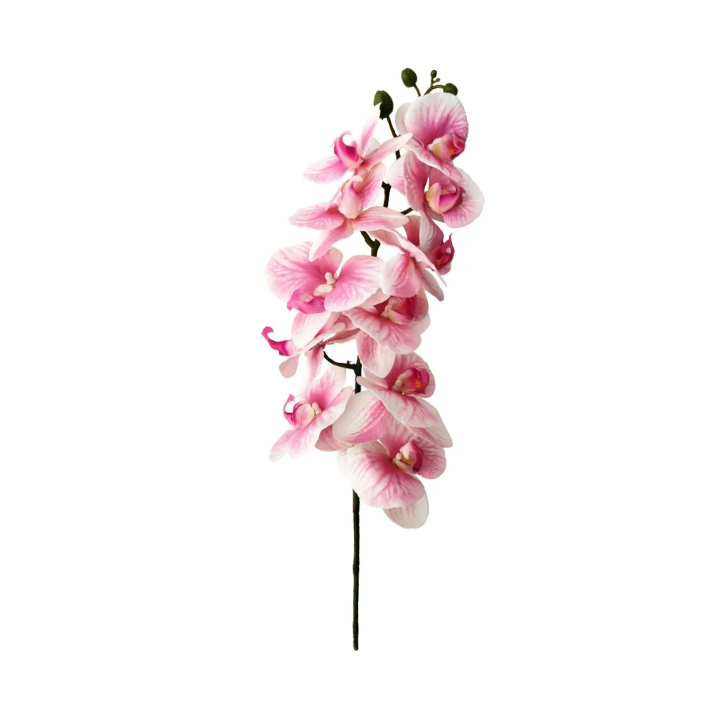 Φωτογραφία προϊόντος: Liberta ORCHIDEE ΛΟΥΛΟΥΔΙ ΤΕΧΝΗΤΟ 91x16x10cm PEVA ΡΟΖ ΛΕΥΚΟ - PEVA - 91Μx16Πx10Υ
