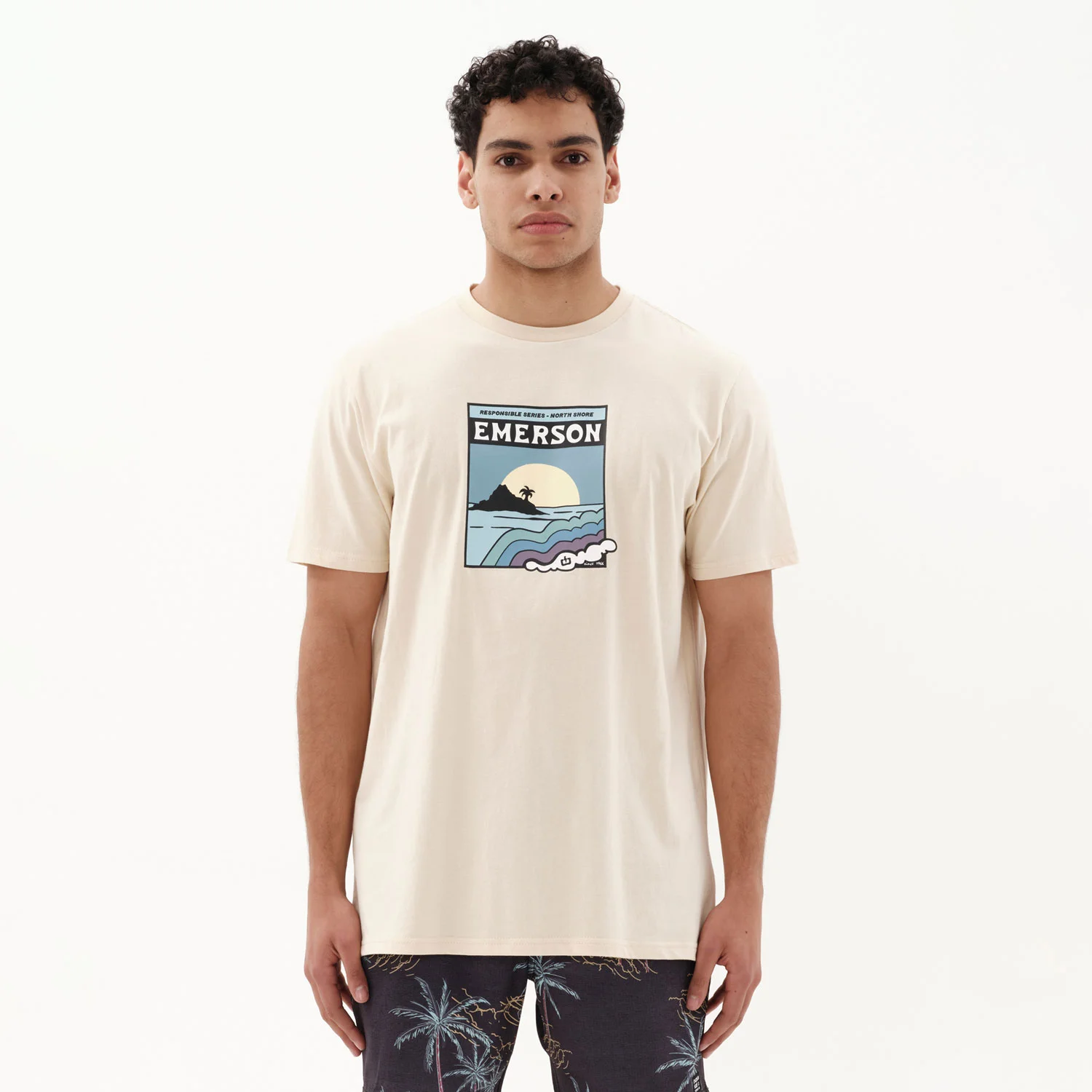 Φωτογραφία προϊόντος: EMERSON TROPICAL LANDSCAPE MEN'S SHORT SLEEVE T-SHIRT ΜΠΕΖ