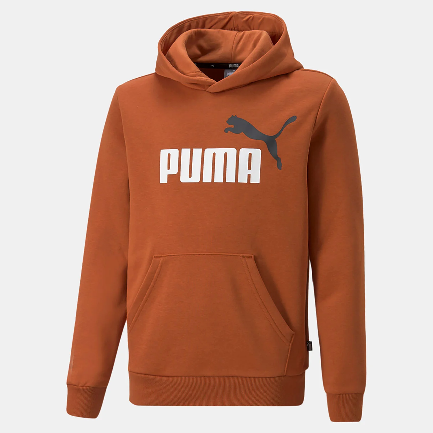 Φωτογραφία προϊόντος: PUMA ESSENTIALS+ TWO TONE BIG LOGO HOODIE ΚΑΦΕ
