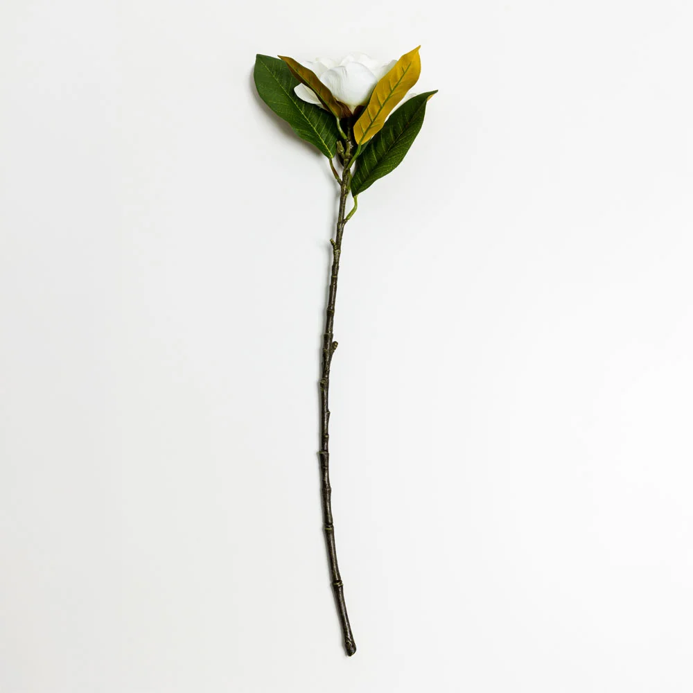 Φωτογραφία προϊόντος: Liberta MAGNOLIA ΛΟΥΛΟΥΔΙ ΤΕΧΝΗΤΟ 71cm POLYESTER ΜΠΕΖ ΠΡΑΣΙΝΟ - POLYESTER - 71Μ