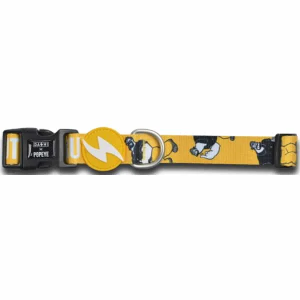 Φωτογραφία προϊόντος: Dashi Brutus Collar 20-30cm XSmall
