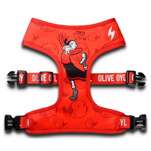 Φωτογραφία προϊόντος: Dashi Σαμαράκι Σκύλου Neo Mesh Olive Oyl S