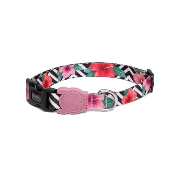 Φωτογραφία προϊόντος: ZeeDog Περιλαίμιο Mahalo XS 20-30cm