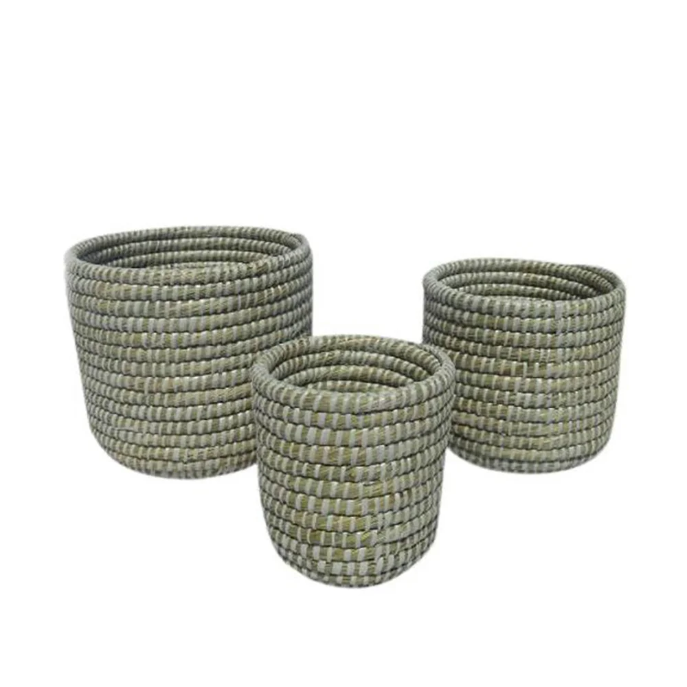 Φωτογραφία προϊόντος: Liberta NILE ΚΑΣΠΩ SET 3ΤΜΧ 25x25x25cm KANSGRASS ΦΥΣΙΚΟ ΛΕΥΚΟ PVC - KANSGRASS - PVC - 25Μx25Πx25Υ