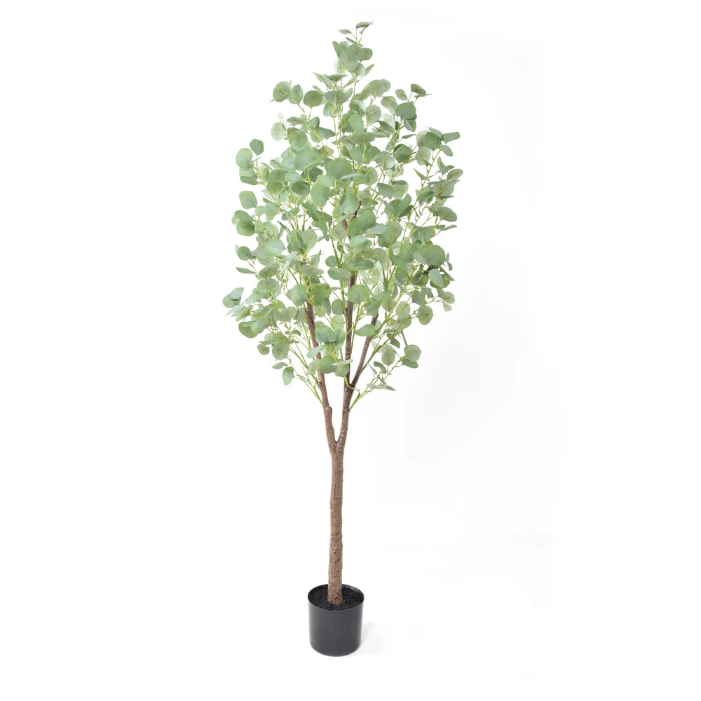 Φωτογραφία προϊόντος: Liberta SILVER DOLLAR EUCALYPTUS ΔΕΝΤΡΟ ΤΕΧΝΗΤΟ ΣΕ ΓΛΑΣΤΡΑ 180cm PE ΠΡΑΣΙΝΟ ΜΕΤΑΞΩΤΟ ΥΦΑΣΜΑ - PE - ΜΕΤΑΞΩΤΟ ΥΦΑΣΜΑ - 180Μ