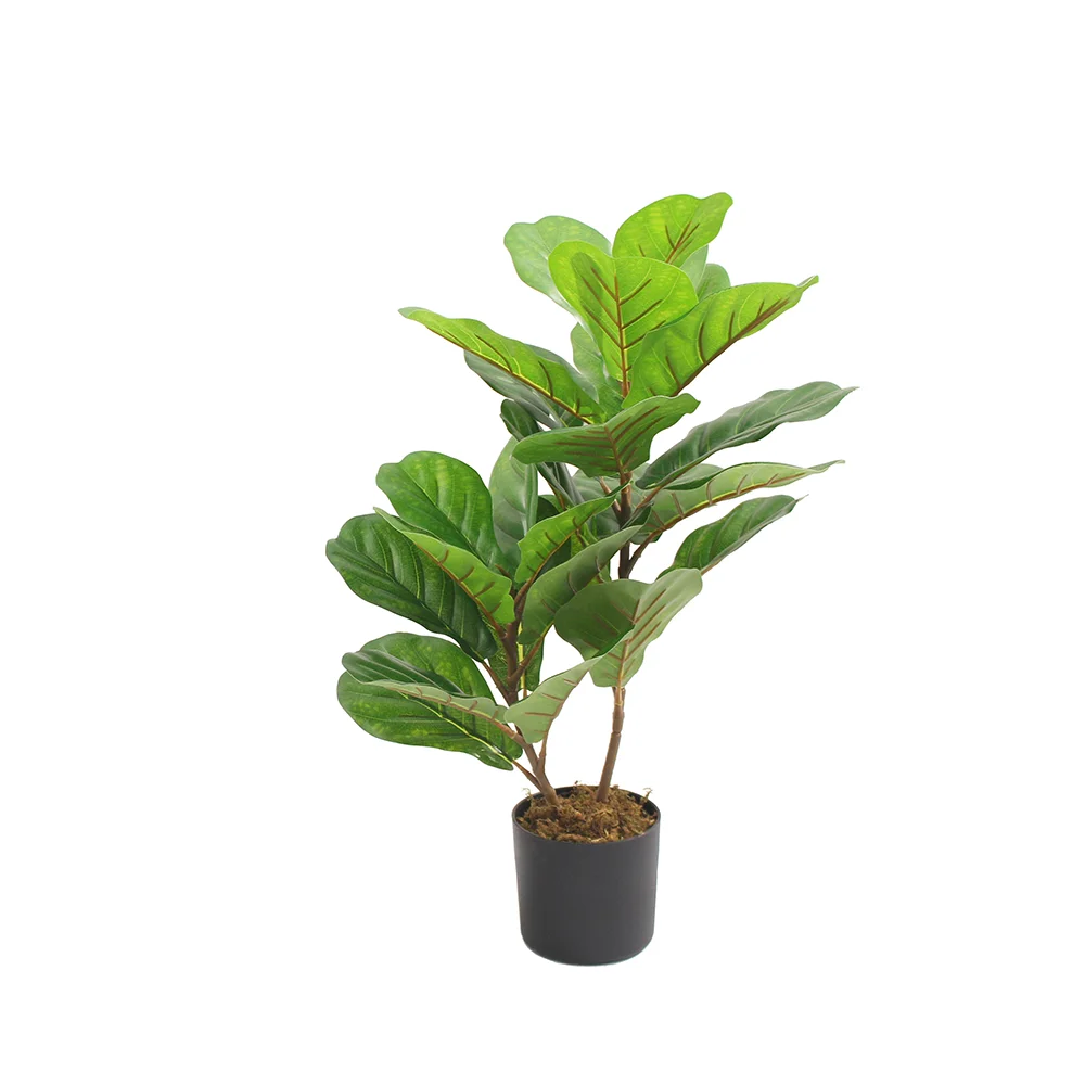 Φωτογραφία προϊόντος: Liberta FIDDLE FIG ΔΕΝΤΡΟ ΤΕΧΝΗΤΟ ΣΕ ΓΛΑΣΤΡΑ 65cm PEVA ΠΡΑΣΙΝΟ - PEVA - 65Μ