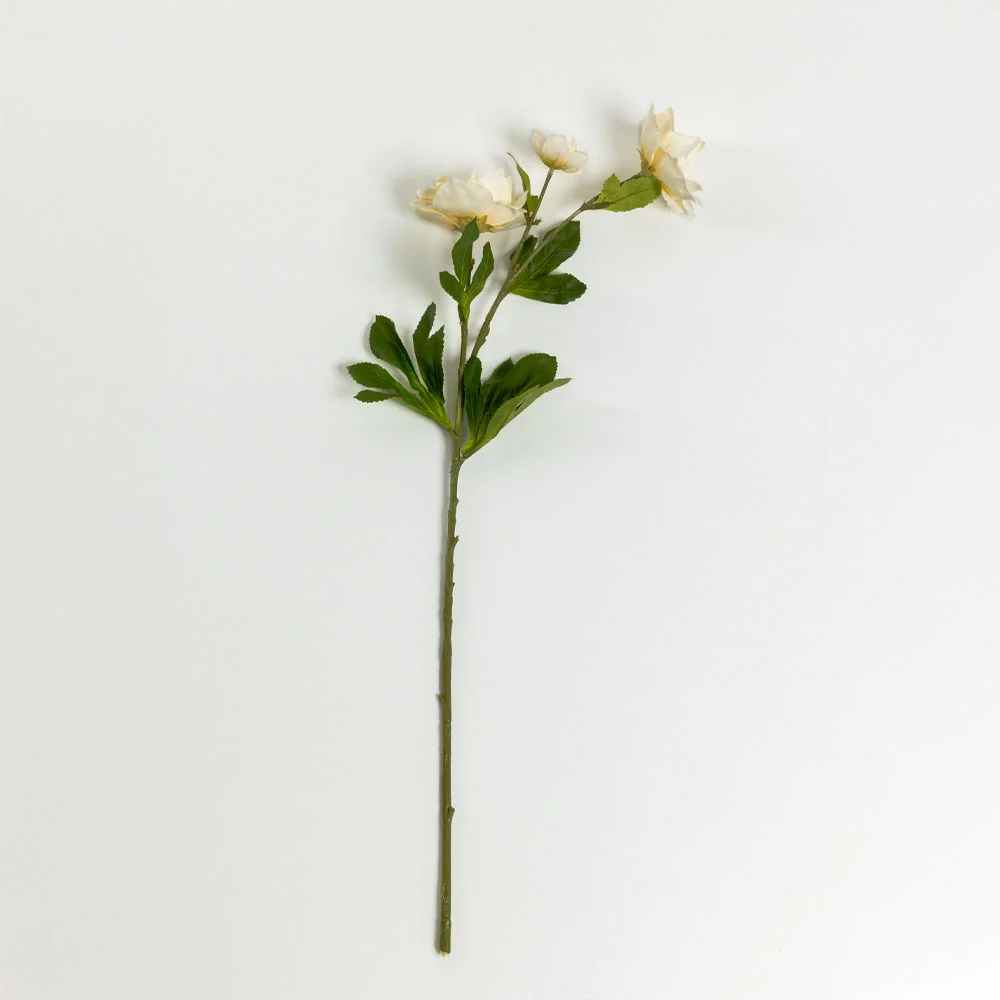 Φωτογραφία προϊόντος: Liberta HIBISCUS ΛΟΥΛΟΥΔΙ ΤΕΧΝΗΤΟ 66cm POLYESTER ΜΠΕΖ ΠΡΑΣΙΝΟ - POLYESTER - 66Μ