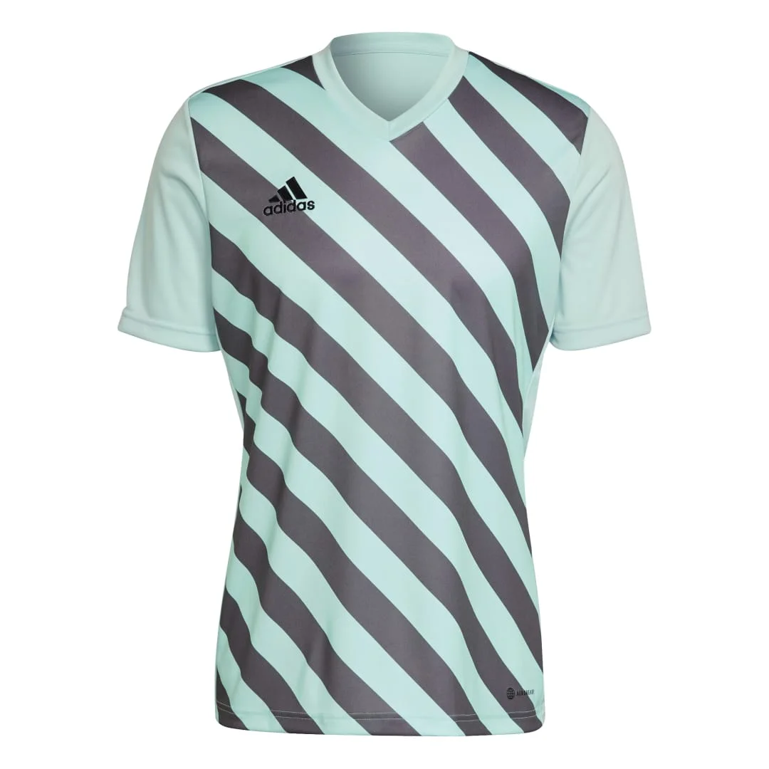 Φωτογραφία προϊόντος: ADIDAS ENTRADA 22 GRAPHIC JERSEY