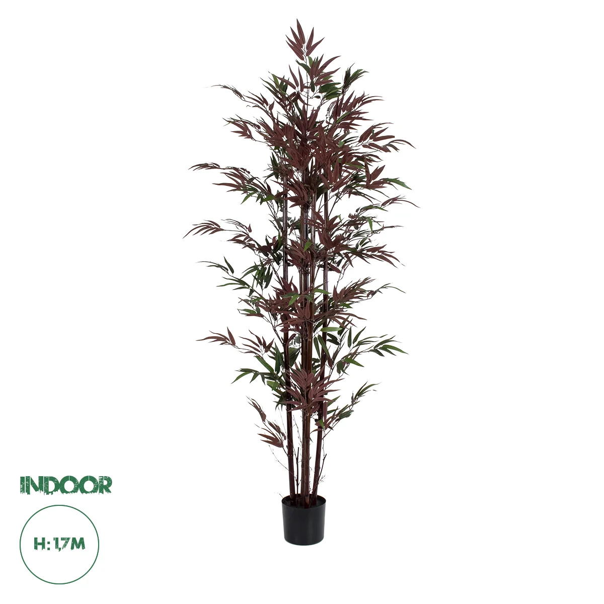 Φωτογραφία προϊόντος: GloboStar® Artificial Garden BLOODLEAF BAMBOO 20039 Τεχνητό Διακοσμητικό Φυτό Αιματόφυλλο Μπαμπού Υ170cm