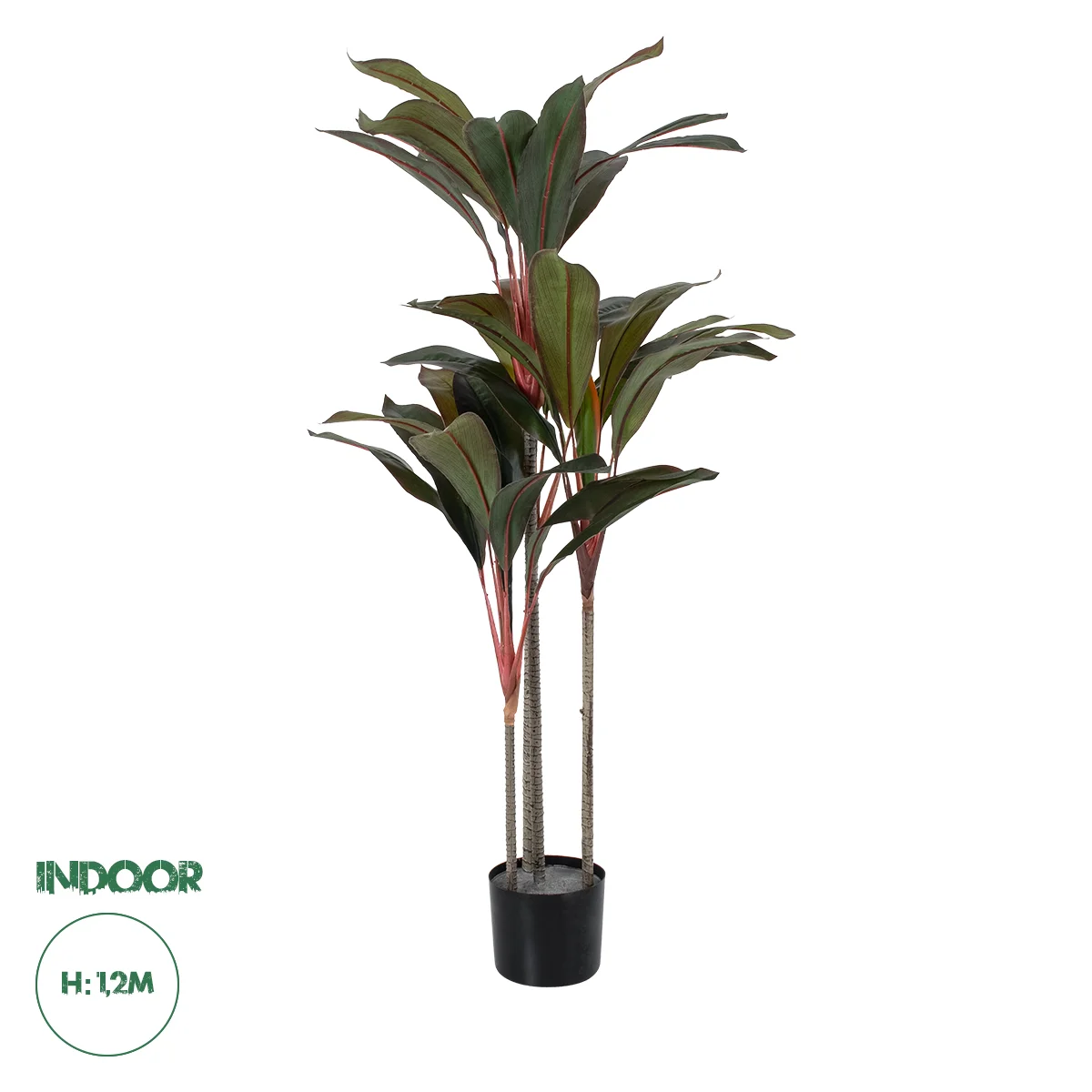 Φωτογραφία προϊόντος: GloboStar® Artificial Garden MELANY FICUS 20040 Τεχνητό Διακοσμητικό Φυτό Φίκος Υ120cm