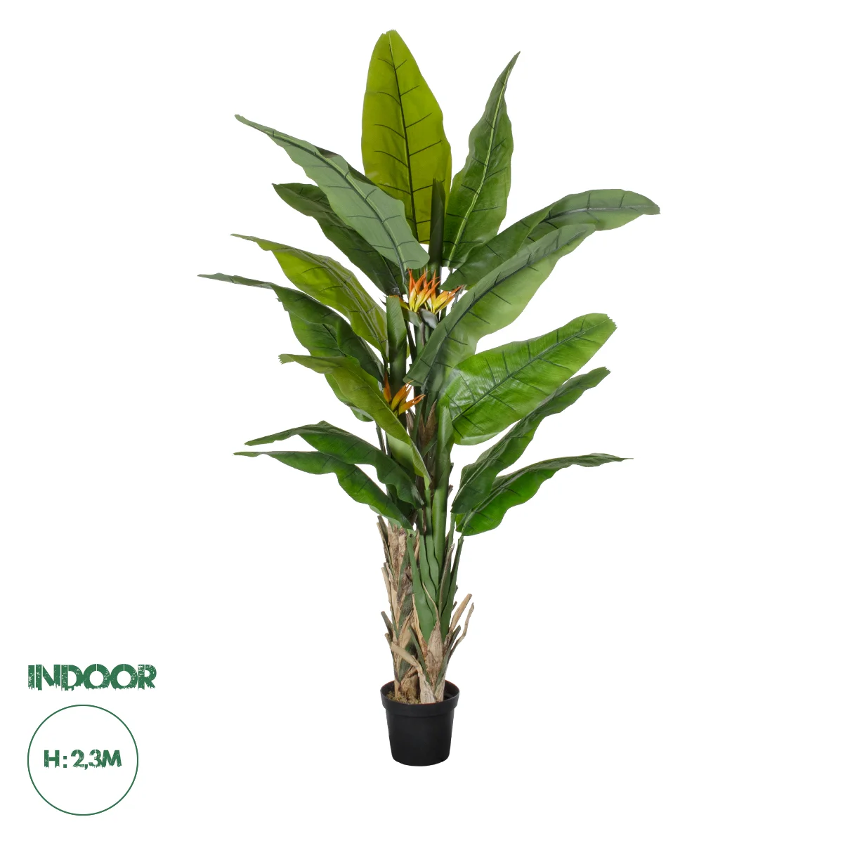 Φωτογραφία προϊόντος: GloboStar® Artificial Garden BANANA STRELITZIA REGINAE 20381 - Τεχνητό Διακοσμητικό Φυτό Μπανανιά - Στρελίτσια - Πουλί του Παραδείσου Υ230cm