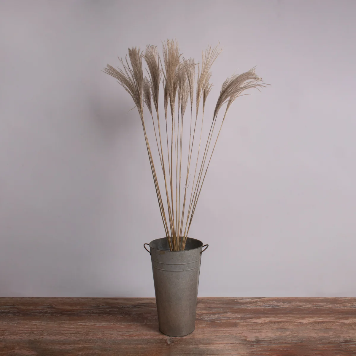 Φωτογραφία προϊόντος: GloboStar® MISCANTHUS 36539 Αποξηραμένο Φυτό Μίσχανθος - Μπουκέτο Διακοσμητικών Κλαδιών Μπεζ Υ140cm - Σετ 10 τμχ