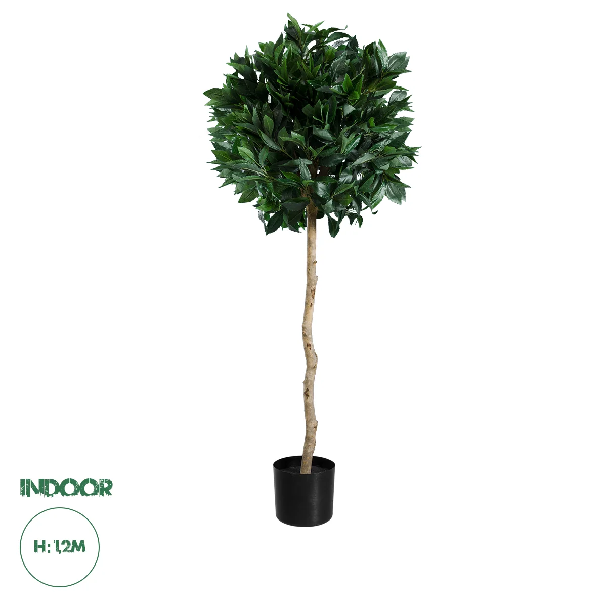 Φωτογραφία προϊόντος: GloboStar® Artificial Garden LAUREL 20084 Τεχνητό Διακοσμητικό Φυτό Δάφνη Υ120cm