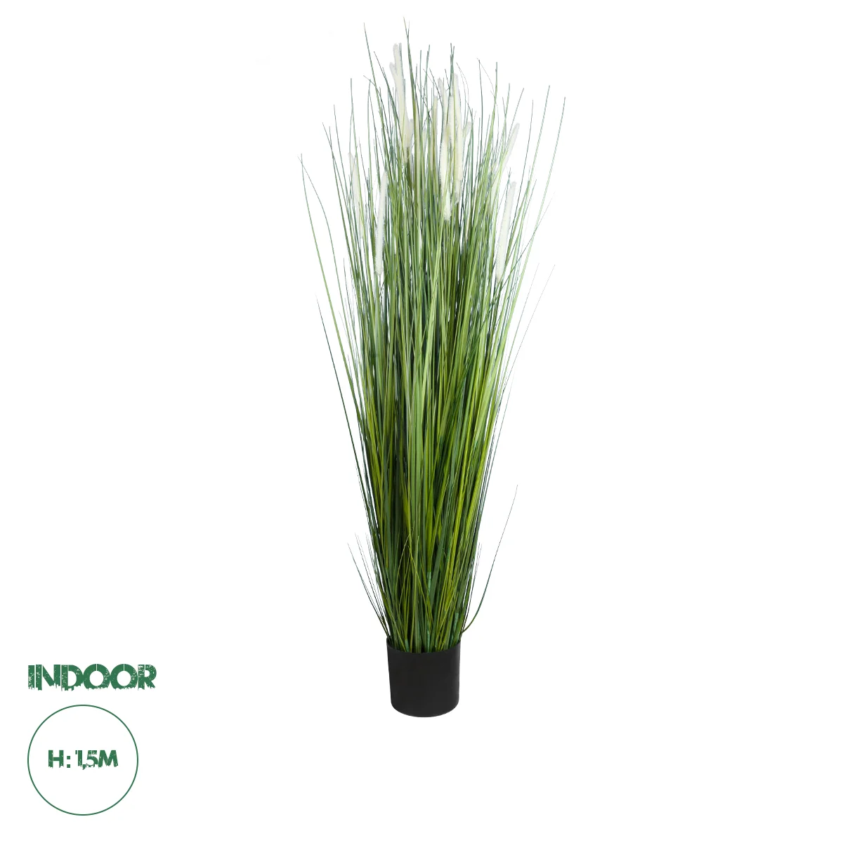 Φωτογραφία προϊόντος: GloboStar® Artificial Garden SACCHARUM 20104 Τεχνητό Διακοσμητικό Φυτό Ζαχαροκάλαμο Υ150cm