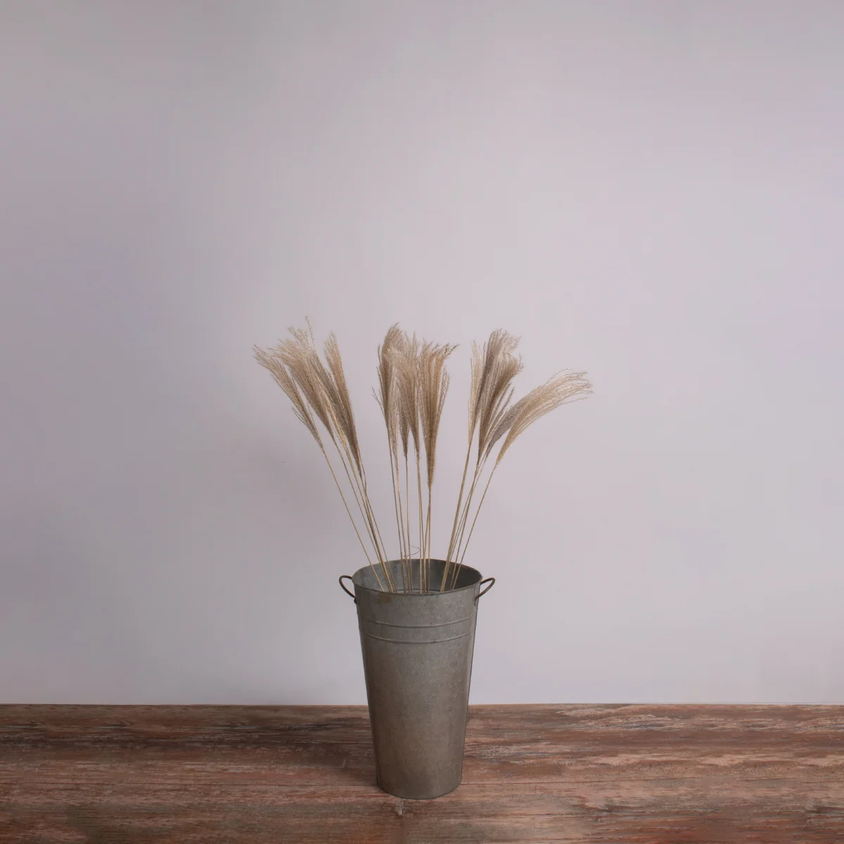 Φωτογραφία προϊόντος: GLOBOSTAR® MISCANTHUS 36537 Αποξηραμένο Διακοσμητικό Μπουκέτο Μίσχανθος - Μπεζ - Μ20 x Π20 x Υ100cm - Πακέτο 20 Τεμαχίων