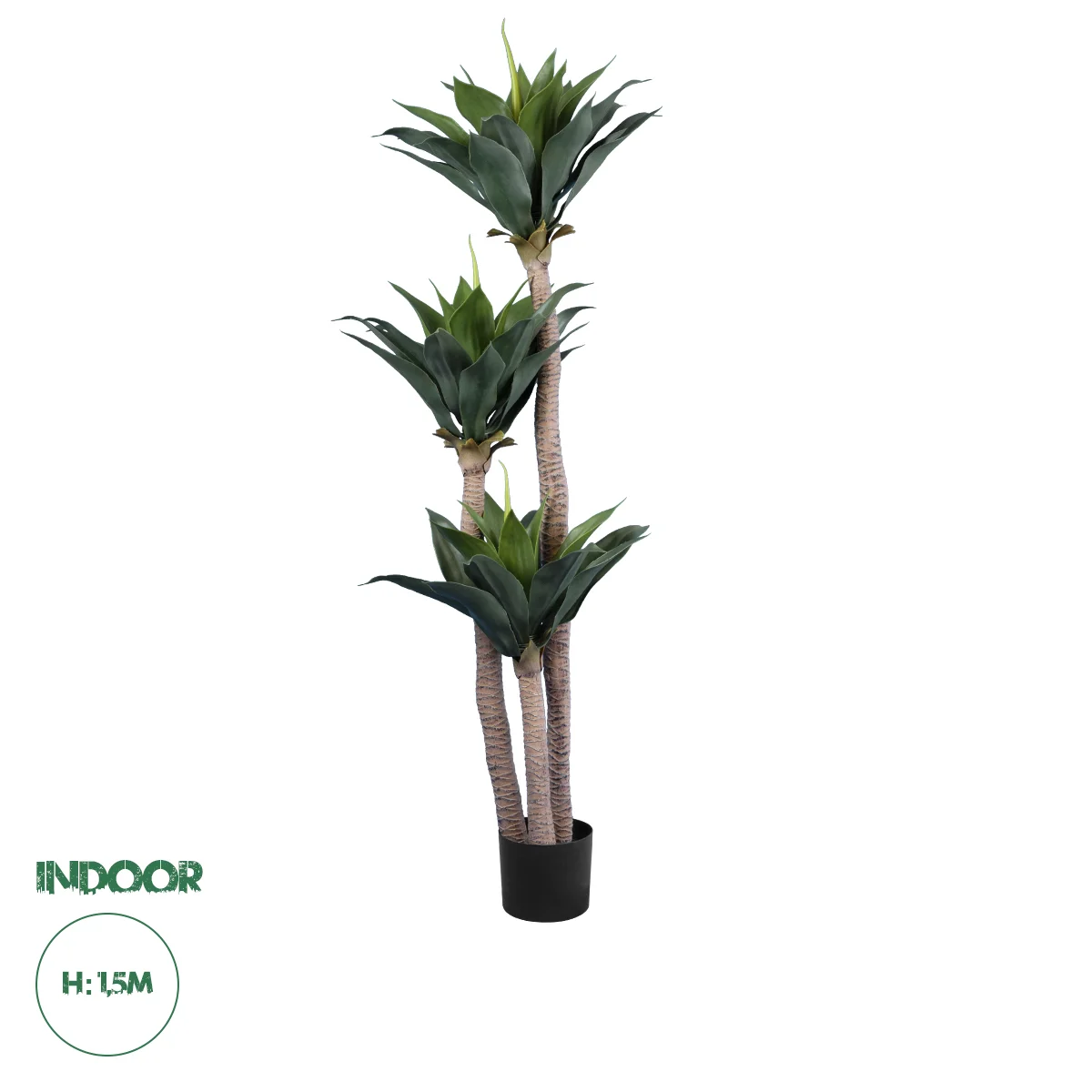 Φωτογραφία προϊόντος: GloboStar® Artificial Garden AGAVE 20215 Τεχνητό Διακοσμητικό Φυτό Αγαύη Υ150cm