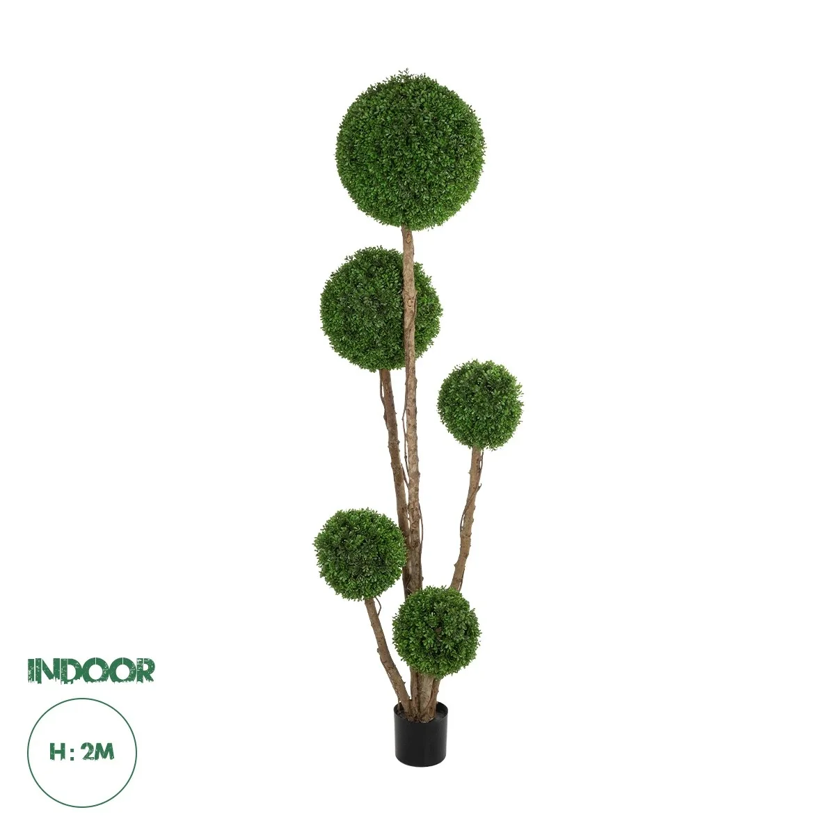 Φωτογραφία προϊόντος: GloboStar® Artificial Garden BUXUS TREE 21111 Τεχνητό Διακοσμητικό Δέντρο Buxus Μ65 x Π60 x Υ200cm