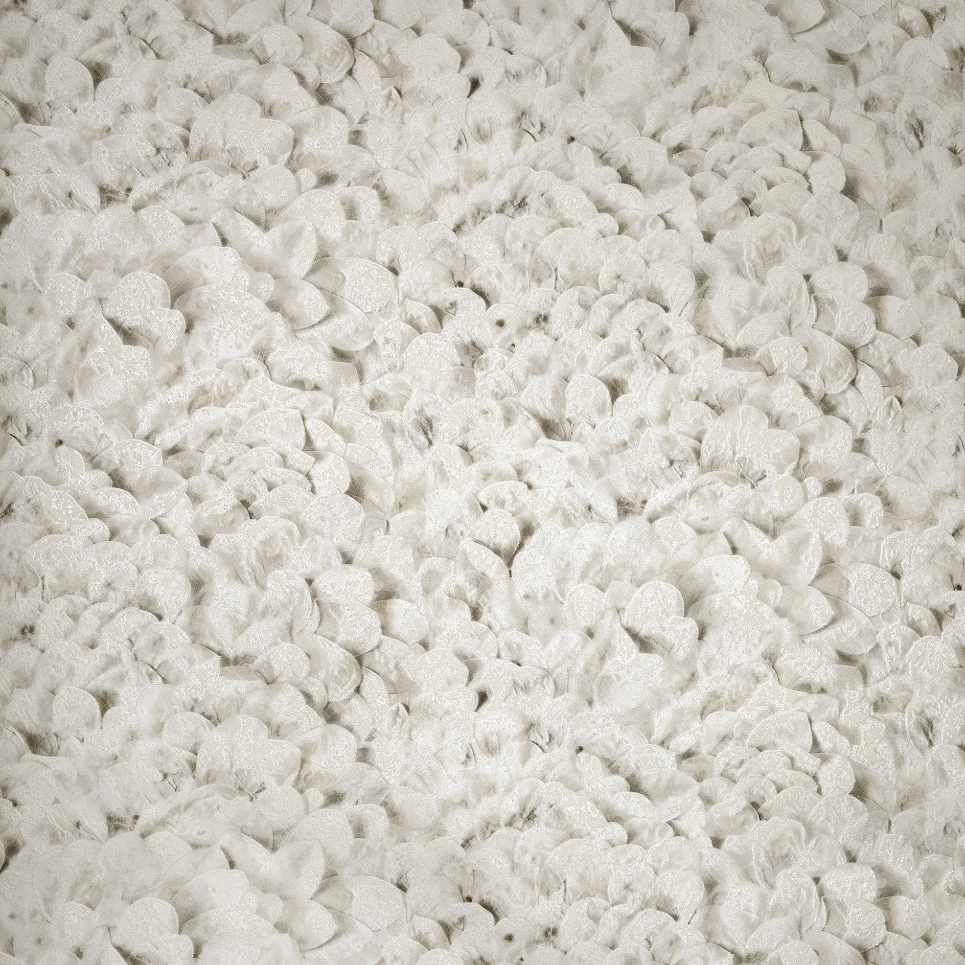 Φωτογραφία προϊόντος: Ταπετσαρία HOHENBERGER SALT 65310-HTM – Ταπετσαρίες τοίχου - Non Woven - 1005Μx53Π