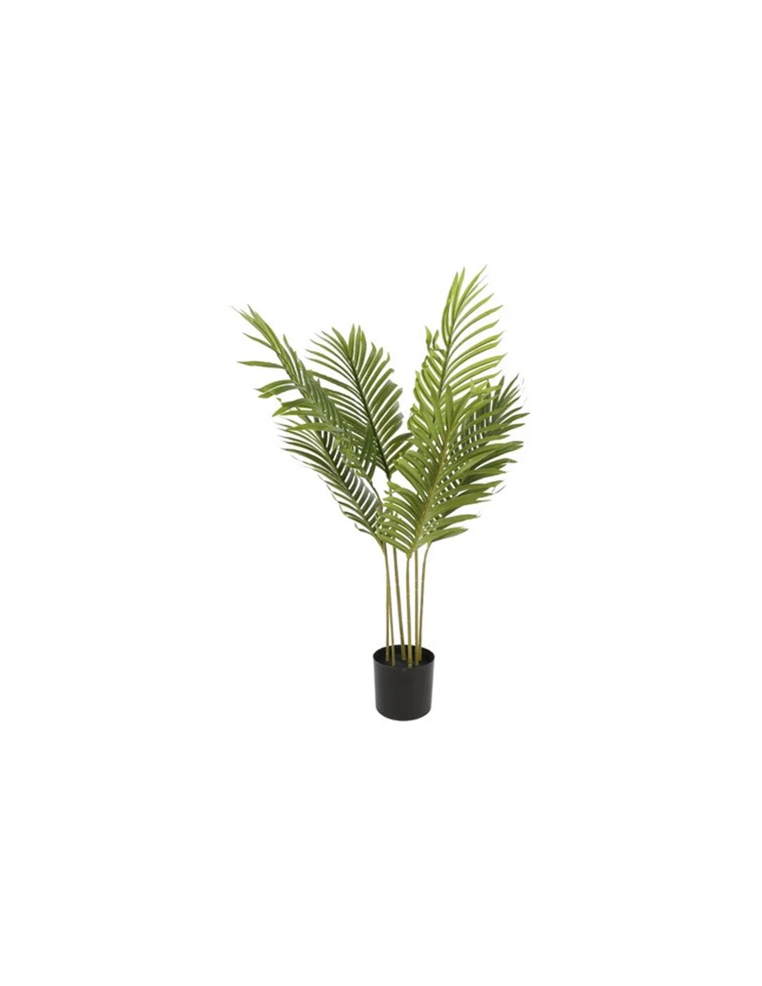 Φωτογραφία προϊόντος: Plastona Φυτό "Kentia" σε κασπώ 50x85cm