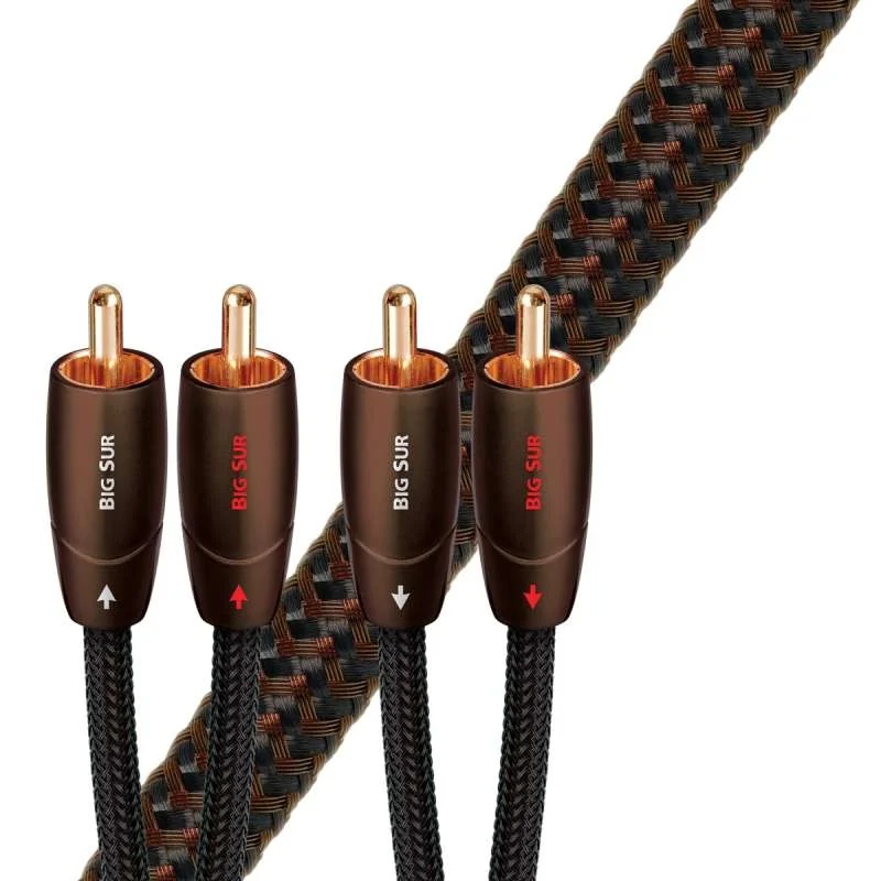 Φωτογραφία προϊόντος: AudioQuest Big Sur RCA Analog Audio Interconnect Cable
