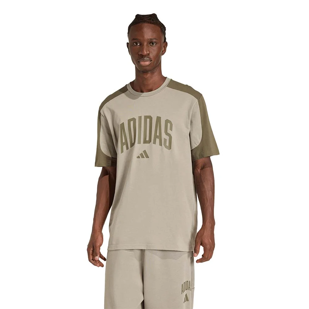 Φωτογραφία προϊόντος: adidas Sportswear Men's Collegiate Tee Χακί KC3417 (adidas Sportswear)