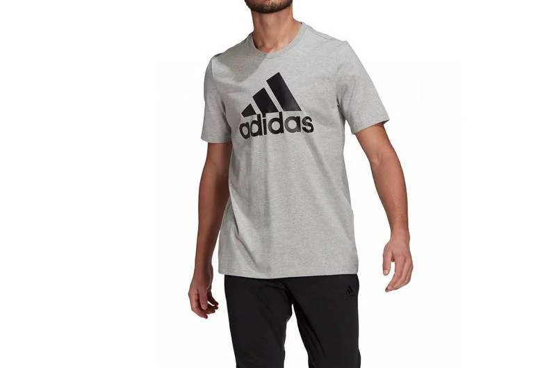 Φωτογραφία προϊόντος: Adidas Essentials Big Logo Tee GK9123 Ανδρικό T-shirt Γκρι