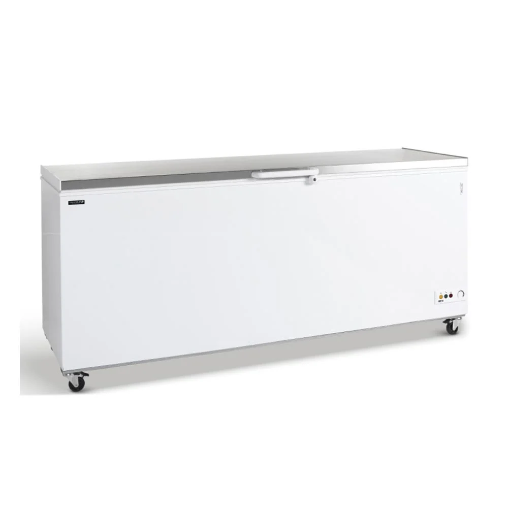 Φωτογραφία προϊόντος: Καταψύκτης 675lt TEFCOLD CF700S-P