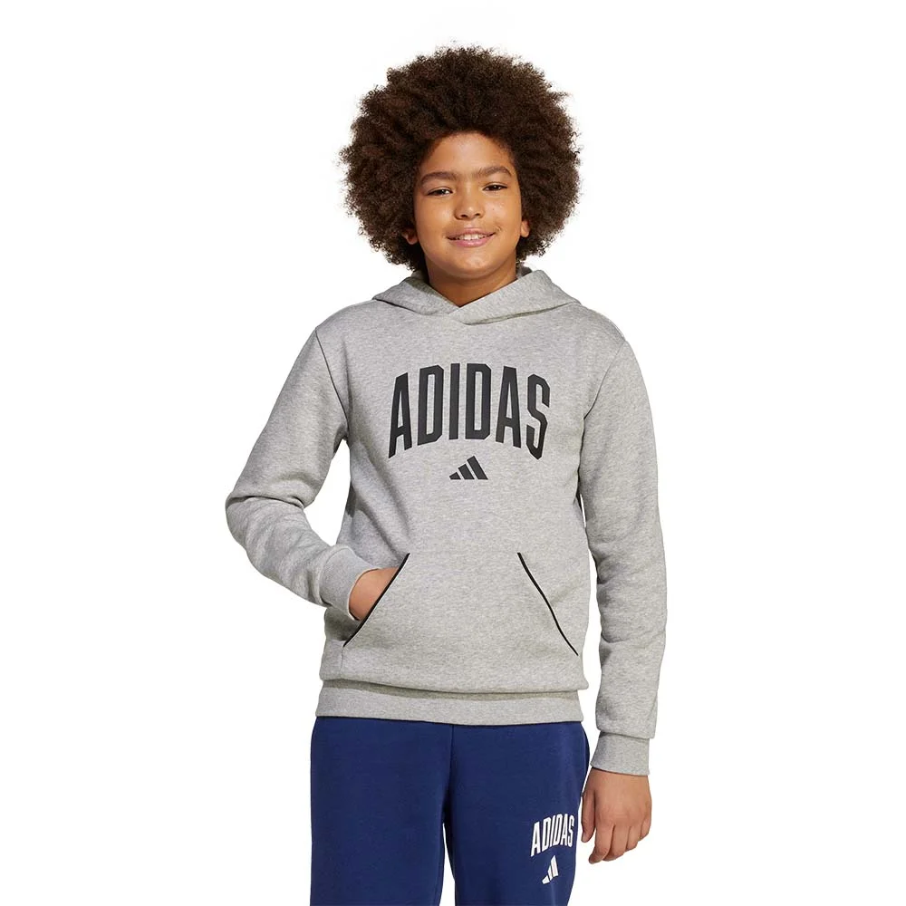 Φωτογραφία προϊόντος: adidas Sportswear Kids Collegiate Typography Fleece Hoodie Γκρι JV7336 (adidas Sportswear)